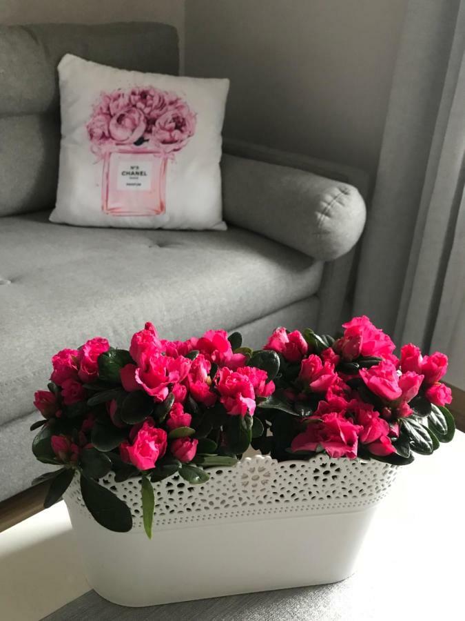 Glamour Apartment Przy Plazy, Z Parkingiem Prywatnym سوبوت المظهر الخارجي الصورة